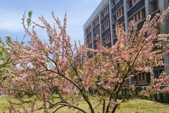 丹阳吕风子职业技术学校运动训练专业