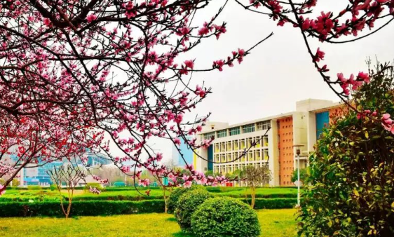河南推拿职业学院怎么样、好不好