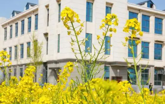 郑州时代科技中等专业学校怎么样、好不好