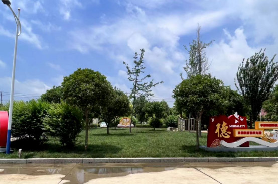 沈丘县教师进修学校怎么样、好不好