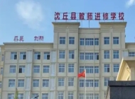 2025年沈丘县教师进修学校录取分数线