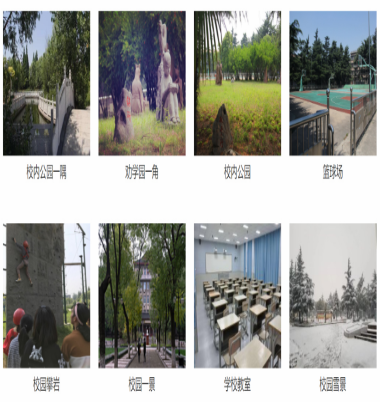 QQ截图20230726135911