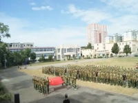2025年桐柏中等职业学校录取分数线