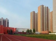 保定体育运动学校2024年录取分数线(2025参考)