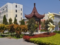 2025年永城职业学院录取分数线