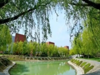 2025年商丘职业技术学院录取分数线