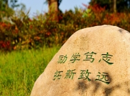 2025年温州职业技术学院录取分数线