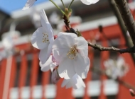 张家口华翔中等职业学校2024年开设哪些专业（2025参考）