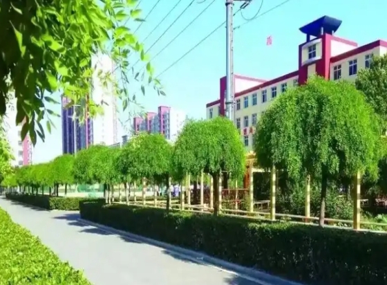 石家庄工商职业学院是公办还是民办