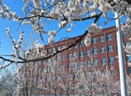 郑州树青医学中等专业学校中药专业