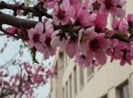 石家庄现代医学中等专业学校2025年学费