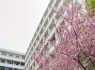 南京工程高等职业学校学费