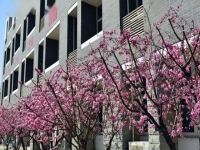 石家庄现代医学中等专业学校护理学专业