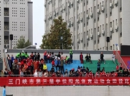 2025年三门峡体育运动学校录取分数线