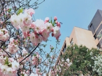 邯郸蓝天信息工程中专学校2024年招生计划(2025参考)