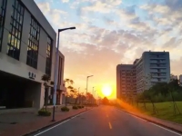 2025年佛山市技师学院录取分数线
