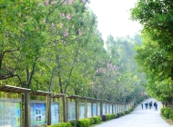 2025年广东省高新技术高级技工学校收费情况