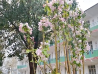 开封市中原科技中等职业学校怎么样、好不好