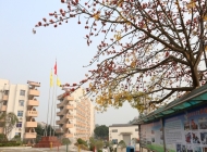 佛山市南海区九江职业技术学校开设哪些专业