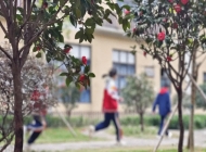 丹阳吕风子职业技术学校无人机操控与维护专业
