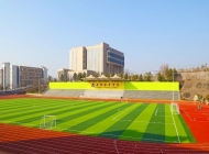 2025年南阳职业学院录取分数线