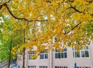 常州冶金技师学院婴幼儿托育服务与管理专业