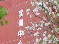 石家庄财经职业学院护理专业