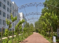 秦皇岛大东职业学校2024年开设哪些专业(2025参考)