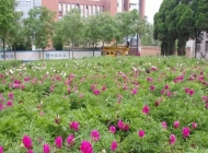 江苏盱眙中等专业学校2024年录取分数线(2025参考)