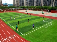 2025年洛阳体育运动学校收费情况