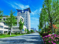 余姚技师学院2023年录取分数线