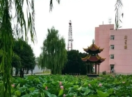 华东石油技师学院开设哪些专业
