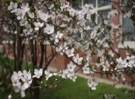 郑州轻工业学校2025年招生计划