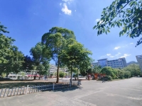 2025年中山市技师学院录取分数线