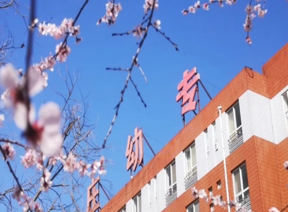 石家庄幼儿师范高等专科学校是公办还是民办