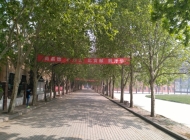 郑州树青医学中等专业学校2025年招生计划