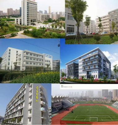 QQ截图20230731163426