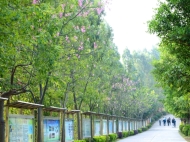 广东省高新技术高级学校开设哪些专业