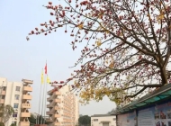 佛山市南海区九江职业技术学校2025年招生简章