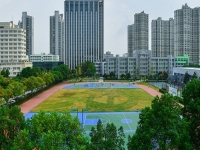 2025年浙江育英职业技术学院录取分数线