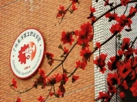 2025年广州南洋理工职业学院录取分数线