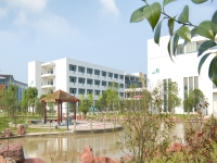 2025年台州科技职业学院录取分数线