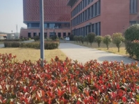 洛阳中等职业学校高新校区怎么样、好不好