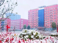 2025年淮阳职业中等专业学校录取分数线