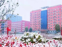 2025年淮阳职业中等专业学校录取分数线