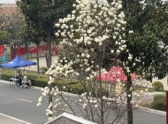 郑州轻工业学校直播电商服务专业
