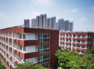 2025年周口幼儿师范学校录取分数线