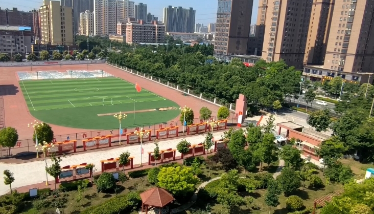 微信截图_20241108201624