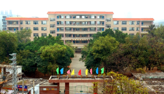 微信截图_20241226091454