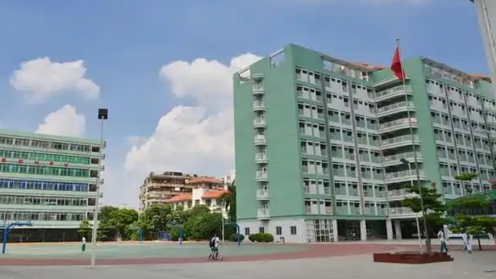 微信截图_20241108201624